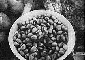 Jackfruit seeds, salvaged from the ripe fruits, are sold for boiling or roasting like chestnuts.
