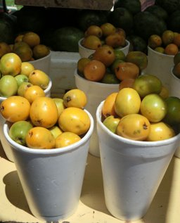 The edible fruit of S. mombin as sold on streets in Santo Domingo