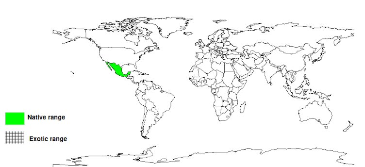 Documented Species Distribution