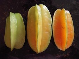 Stages of ripeness
