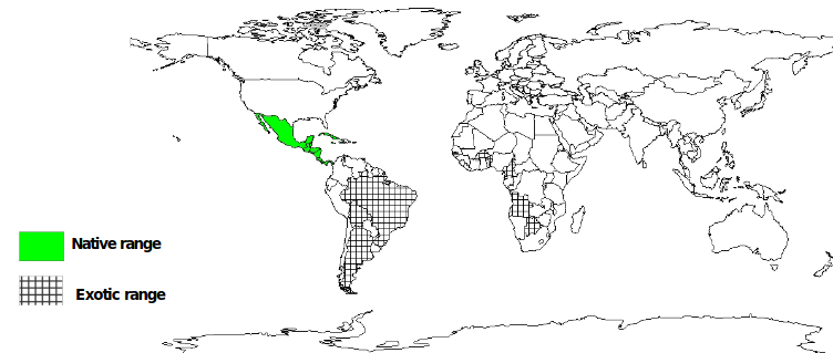Documented Species Distribution