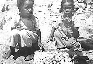 Fig. 33: Bahamian children hold mature but still green tamarinds in hot ashes until they sizzle, then dip the tip in the ashes and eat them. The high calcium content contributes to good teeth.
