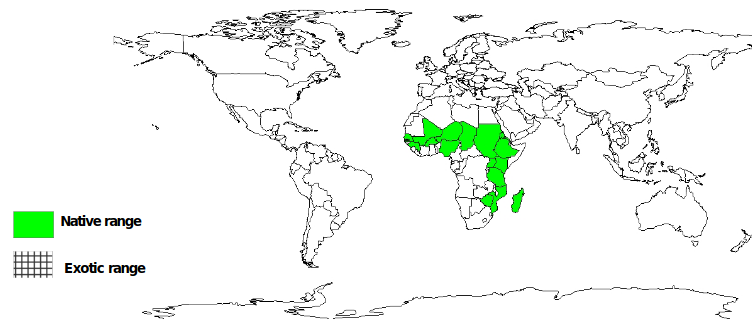 Documented species distribution