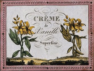Créme de vanille superfine. A liqueur label illustrated with two vanilla plants (Vanilla planifolia)." Coloured engraving, 19th century