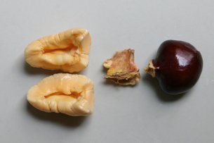 Disected ackee fruit