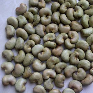 Raw cashews are extremely toxic topically.