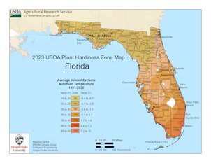 Florida Plant Hardiness Zone Map