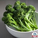 Broccoli artwork F1. 1969 AAS Edible – Vegetable Winner