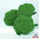 Broccoli green comet