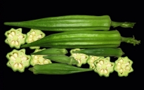 Okra vegetable