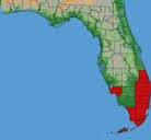 Distribution of the Caribbean fruit fly, Anastrepha suspensa (Loew), in Florida.