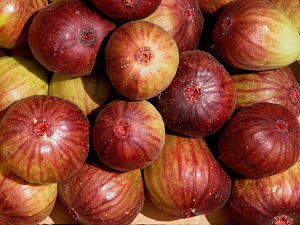 Credit: Ken Love, © 2007, University of Hawai‘i Figs