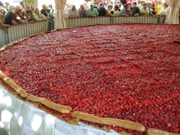 Strawberry pie, 8 m in diameter, Beaulieu sur Dordogne, France, during the annual strawberry festival