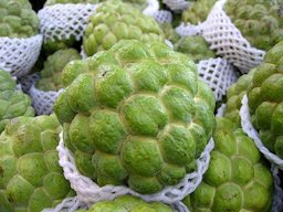 Sugar apple