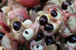 Credit: Dave Cook, Eating in Translation Portions of this ripe fruit are safe to eat, but only after some careful prep work.