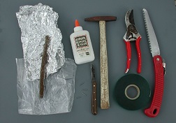 Credit: Julian W. Sauls, Aggie Horticulture®, Texas A&M AgriLife Extension Materials and tools commonly used in pecan propagation